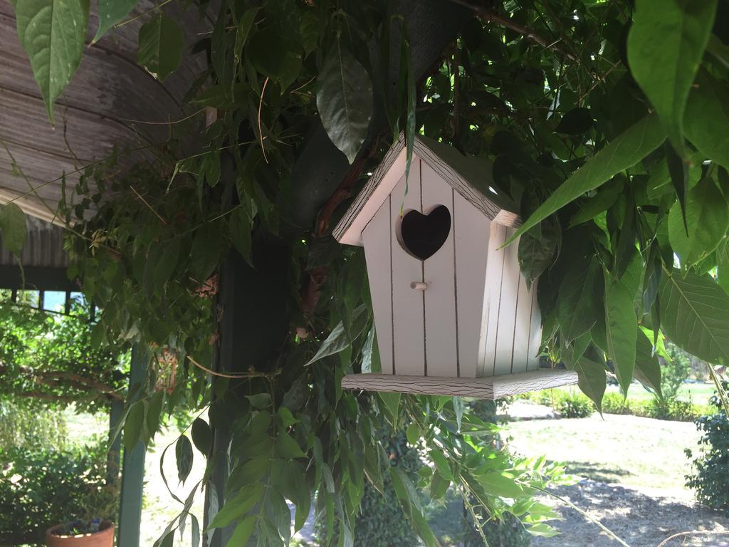 Birchwood Cottage Yarck Bagian luar foto